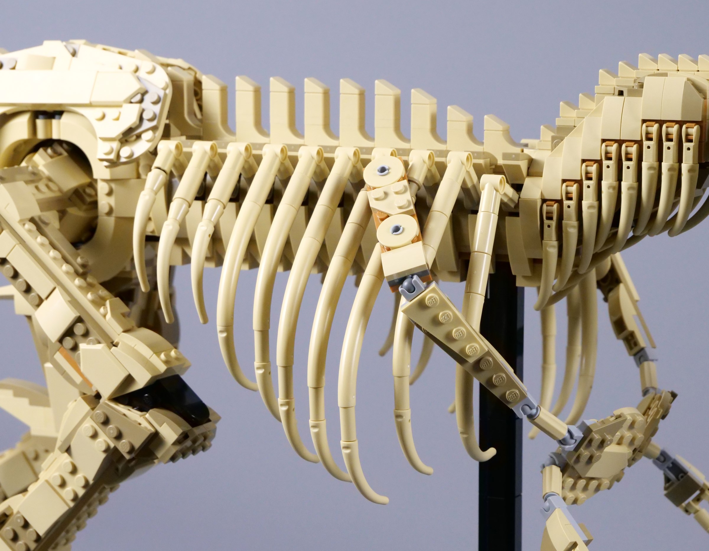 LEGO Jurassic World 76968 Dinosaur Fossils: Tyrannosaurus